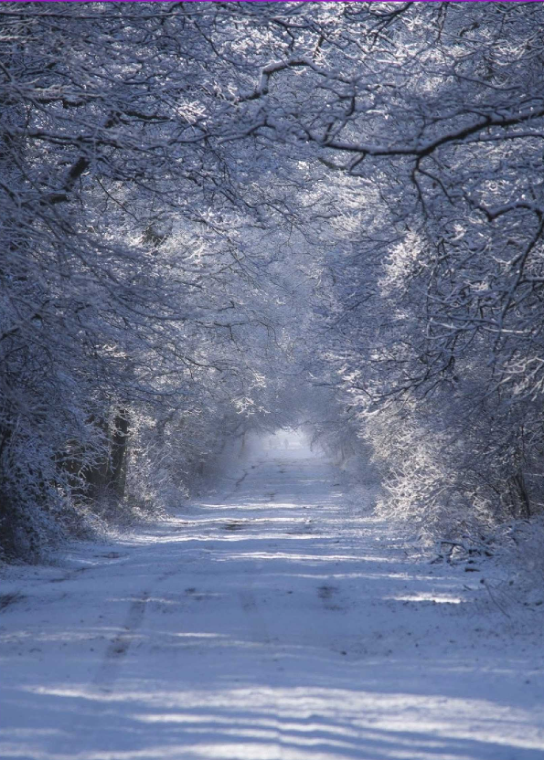 Maandblad van de PKN-gemeente Laren(G) | Kerkklanken
